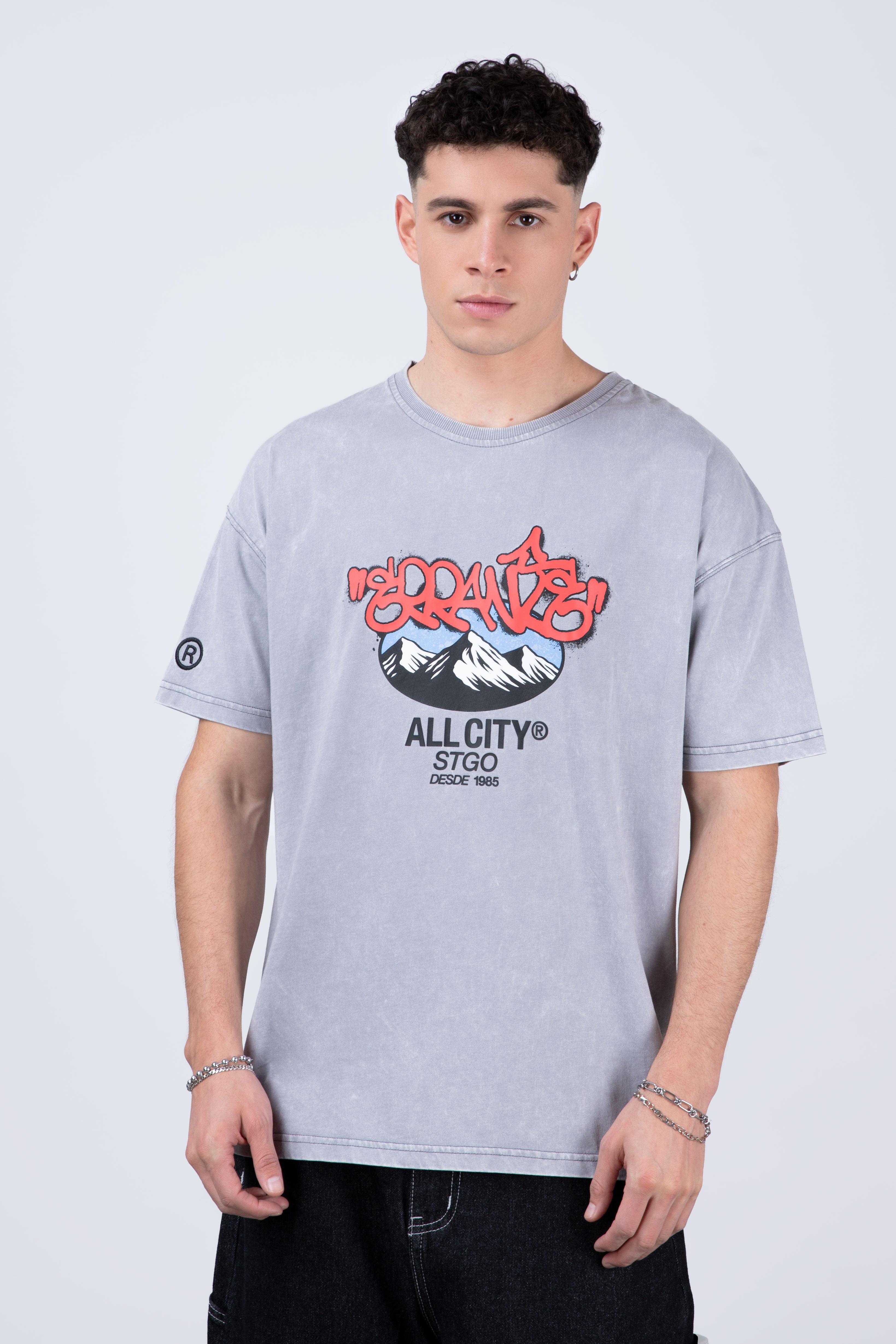 Polera Manga Corta Andeshood Gris