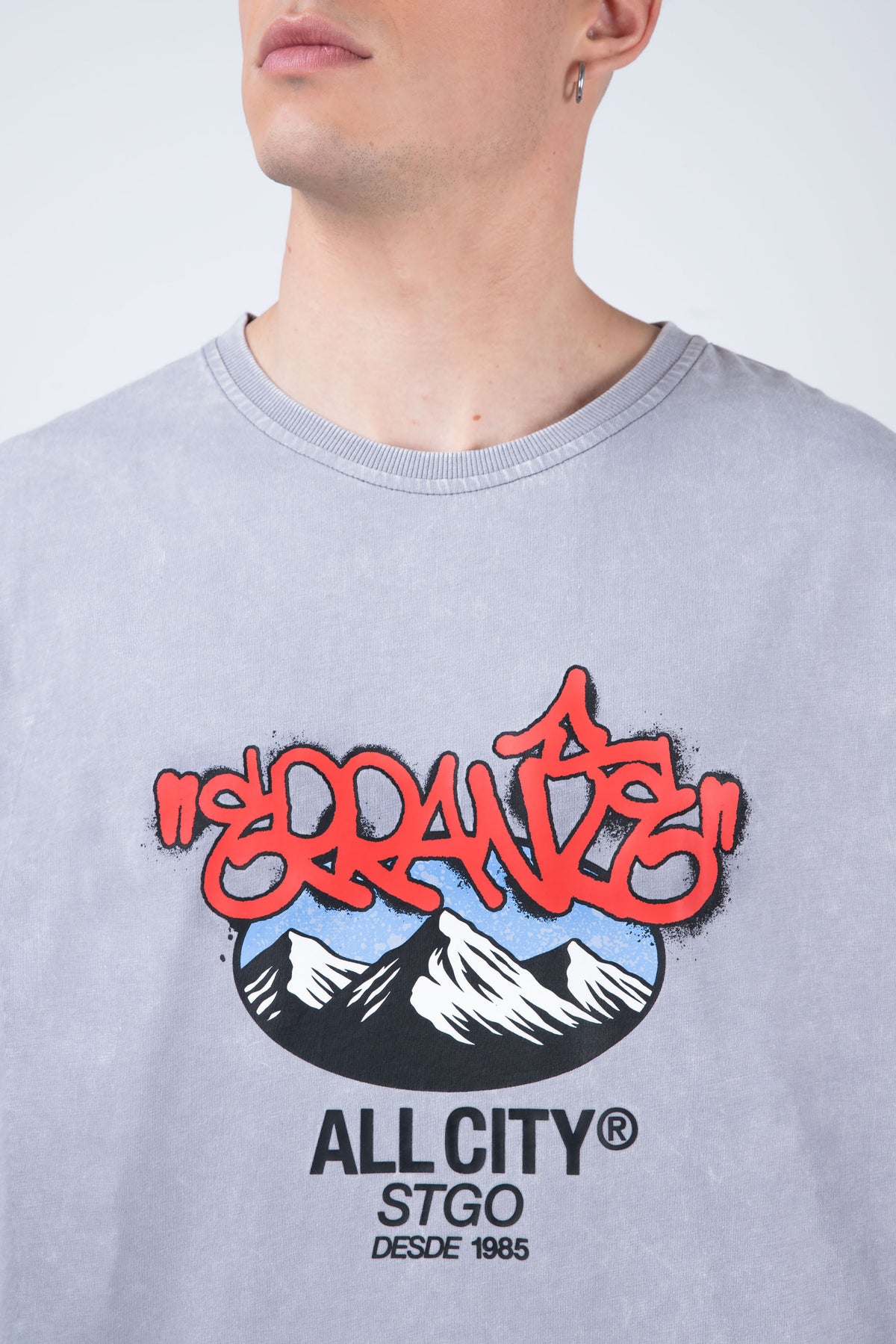 Polera Manga Corta Andeshood Gris