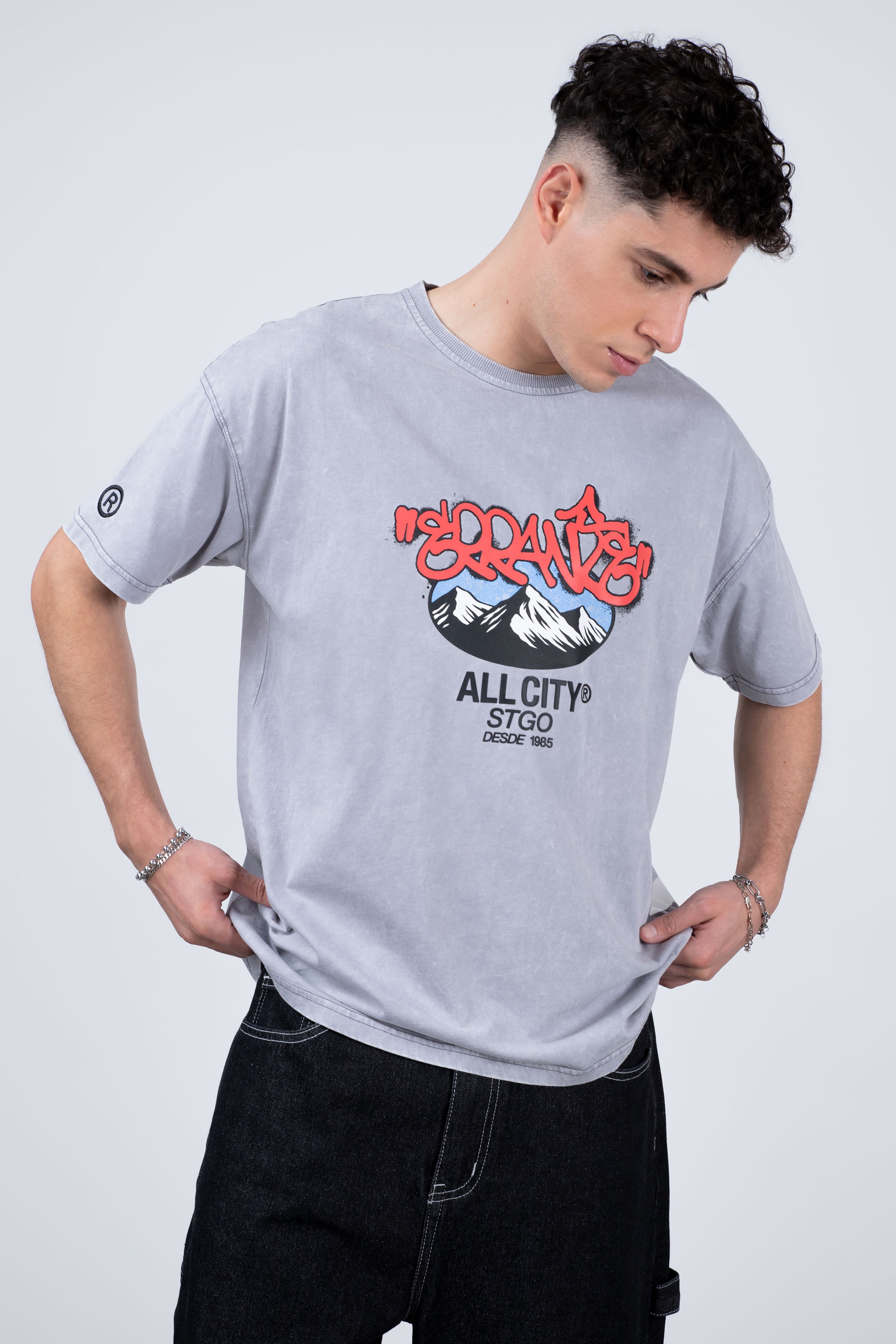 Polera Manga Corta Andeshood Gris